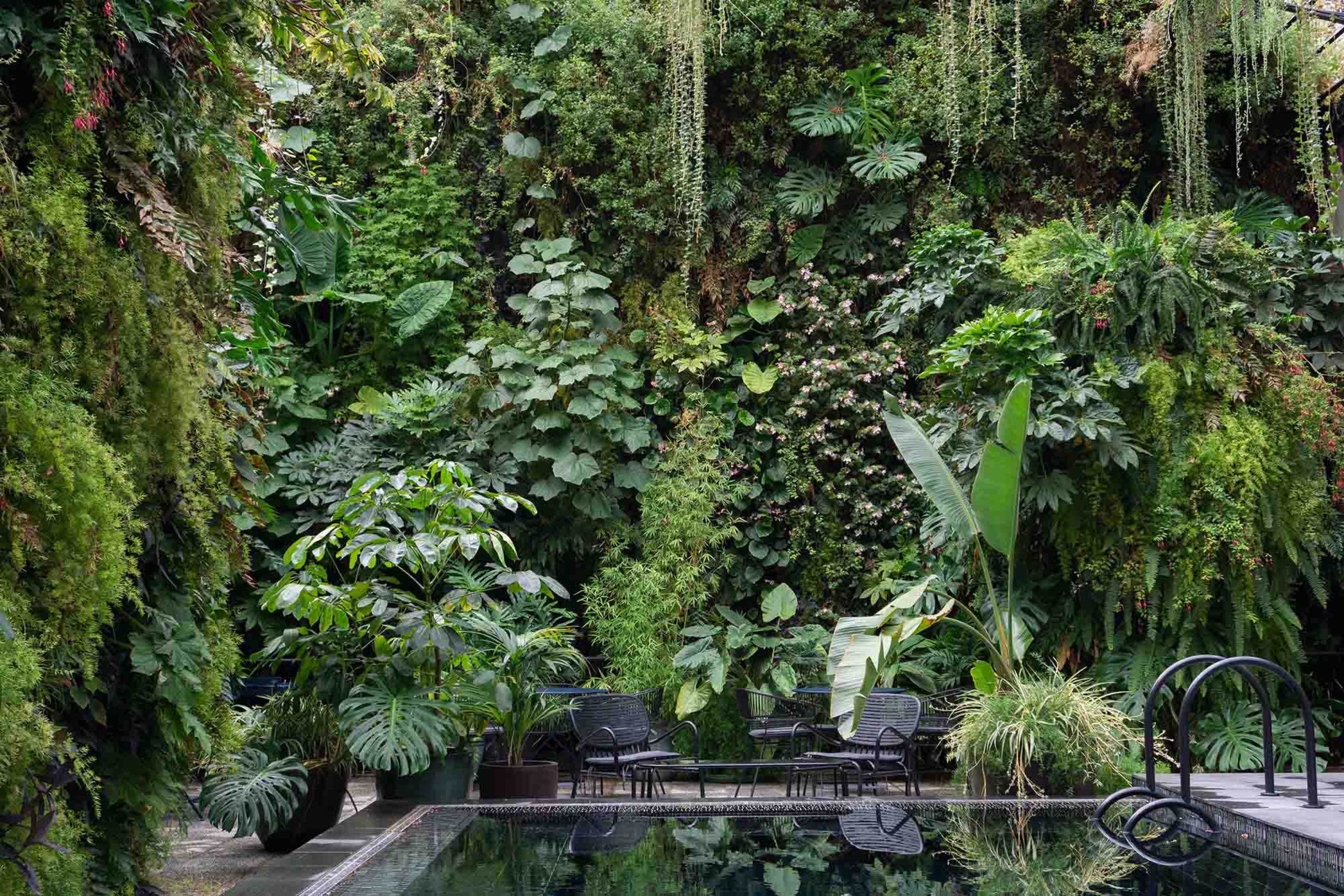 Vertical Garden Design | Specialists in vertical greenery